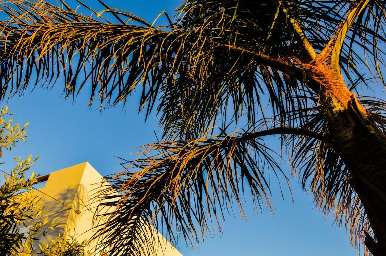 United Blue Resorts - White Sand Karteros Exterior foto